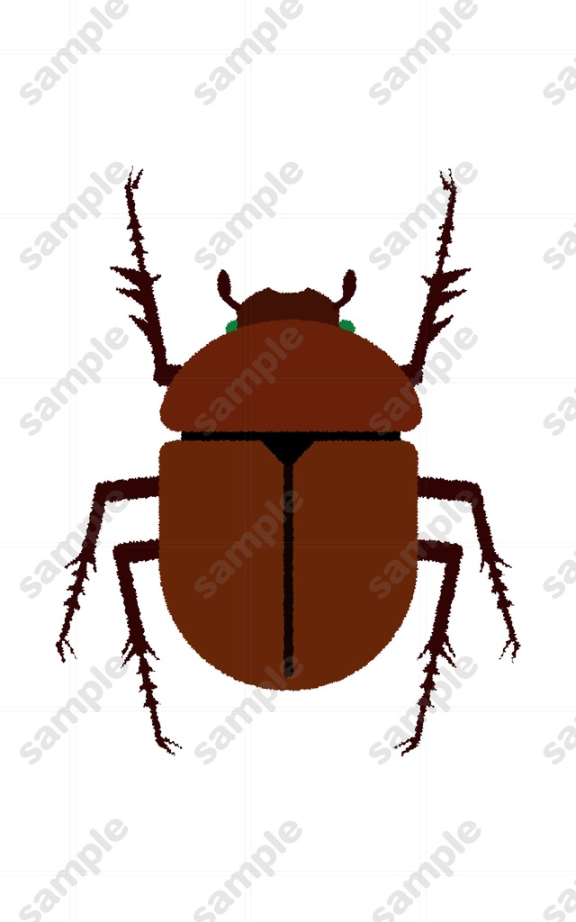 カブトムシ雌のイラスト素材