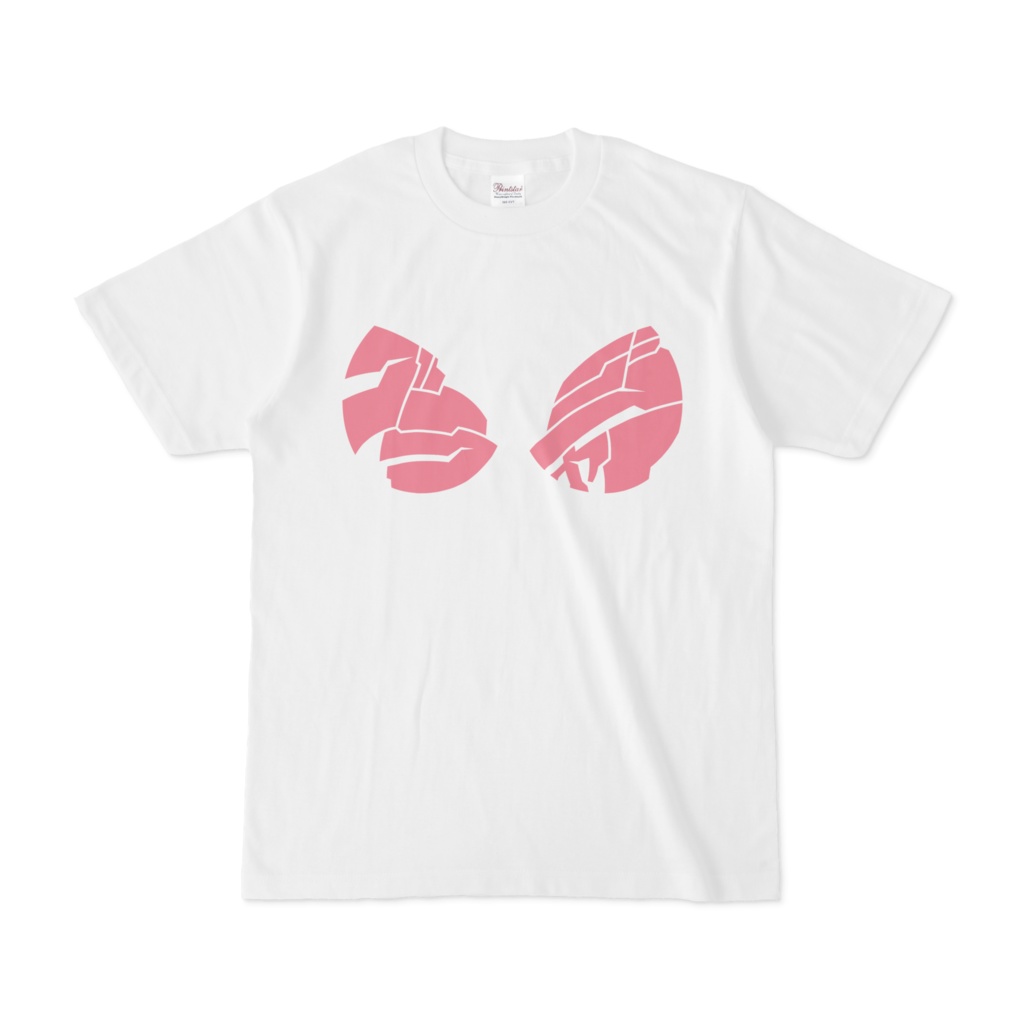 ブラジャー　Tシャツ