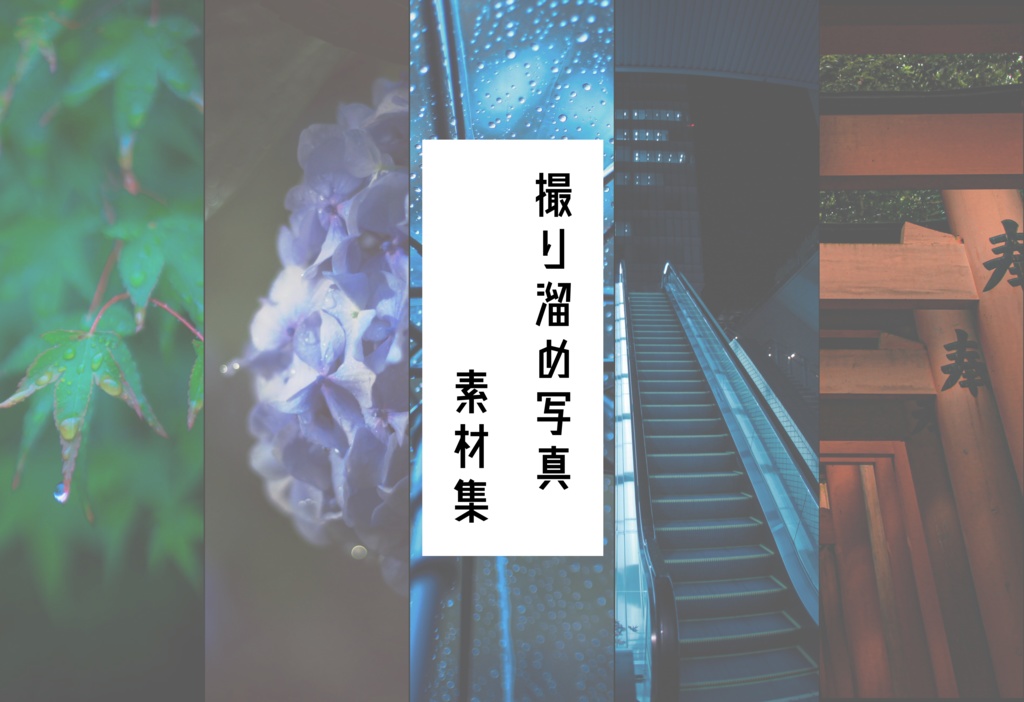 撮り溜め写真素材集