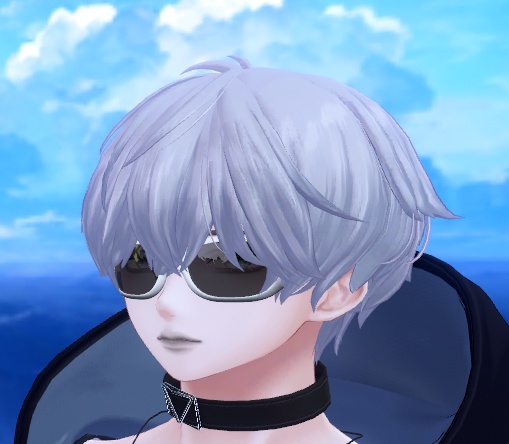 Oval Glasses オーバルグラス OVAL SUNGLASSES オーバルサングラス