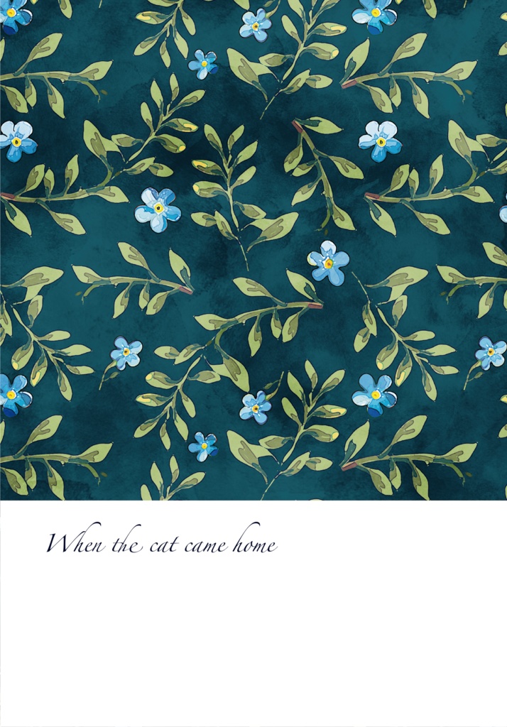 When the cat came home