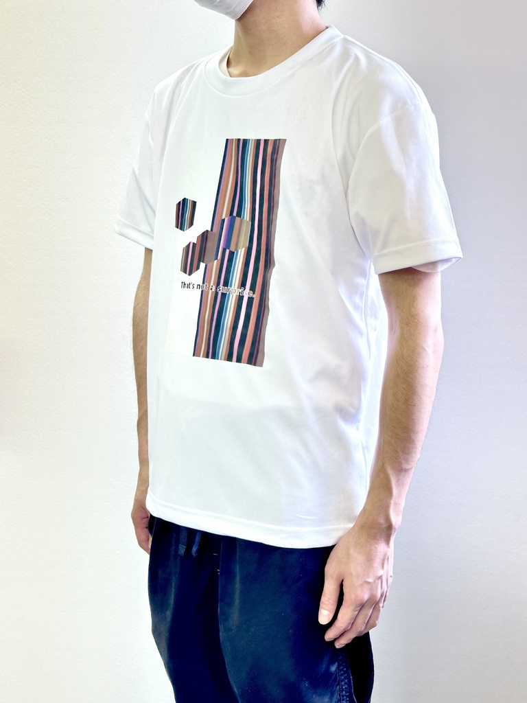 ats001 アイロンプリントTシャツ【絵柄選択式※12種】