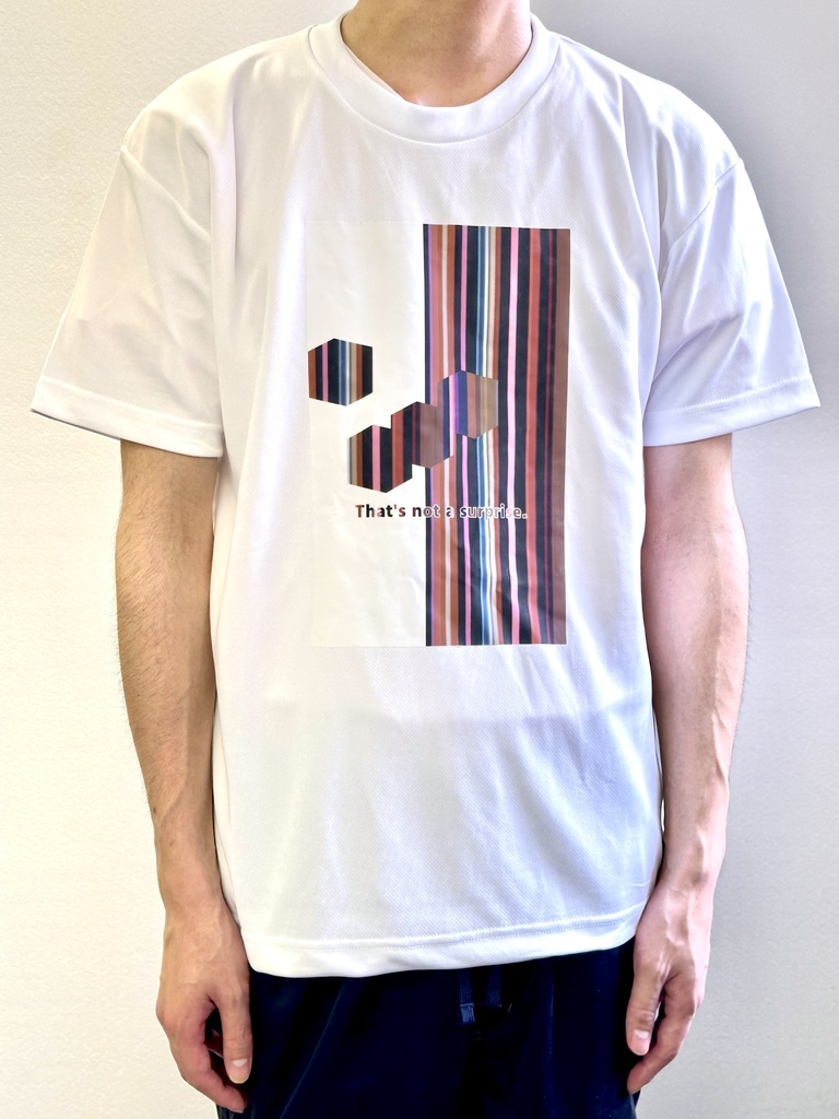 ats001 アイロンプリントTシャツ【絵柄選択式※12種】