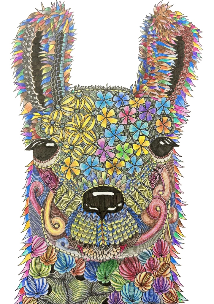 tb001 不思議な世界にいるラマ トートバッグ