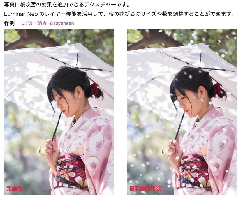 Luminar Neo用 テクスチャー 桜吹雪