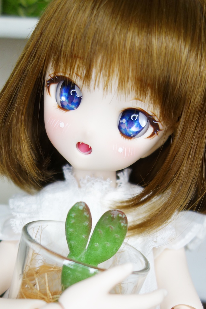 27ヘッド セミホワ肌(ヘッド+アイのみ)