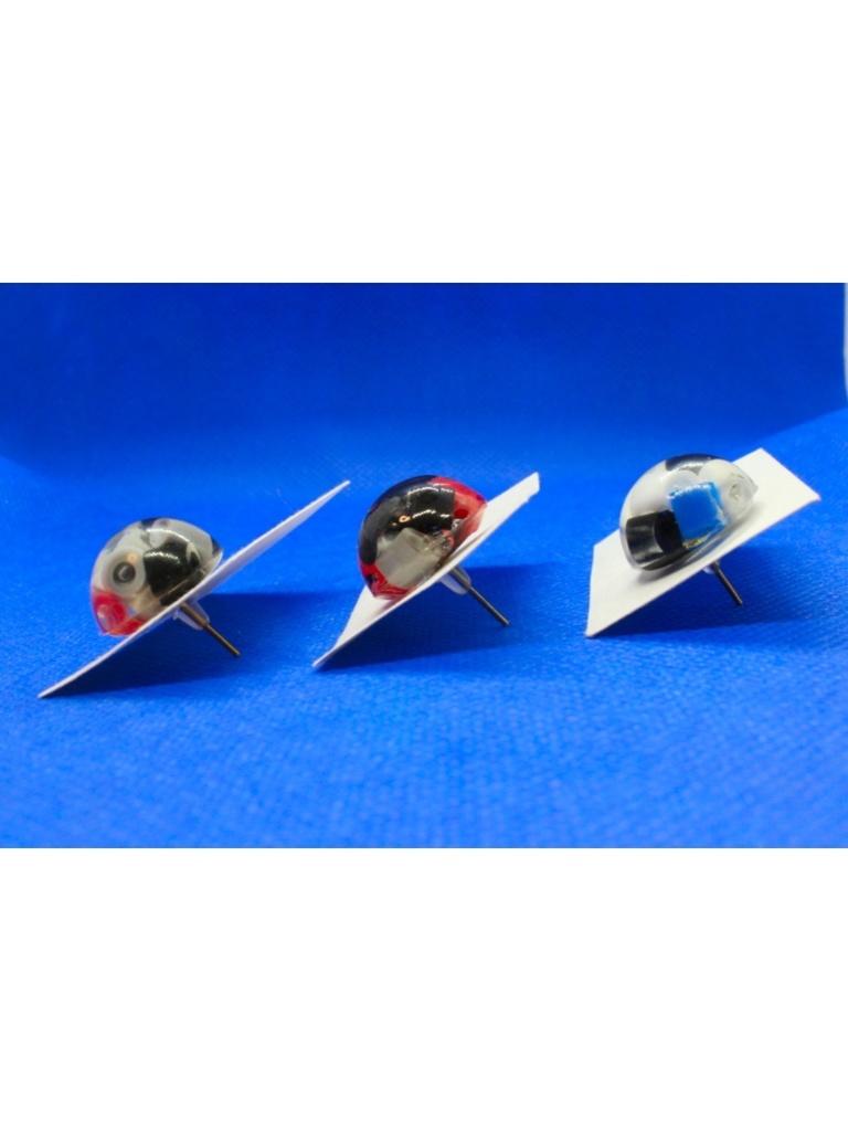 MTC 🐴🐰🐦 ピアス