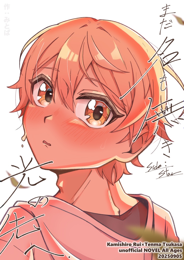 まだ名も無き光の先へ side：star