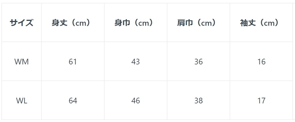 レリ研レディースTシャツ