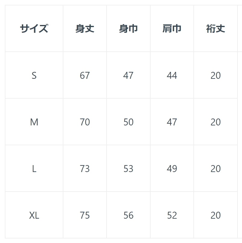 レリ研Tシャツ(ブラック)短納期