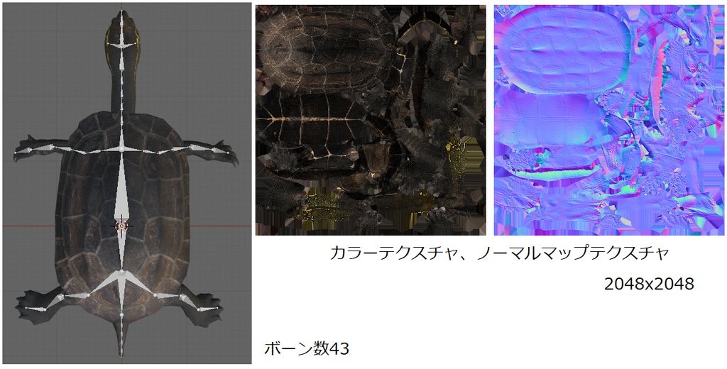 クサガメ3Dデータ
