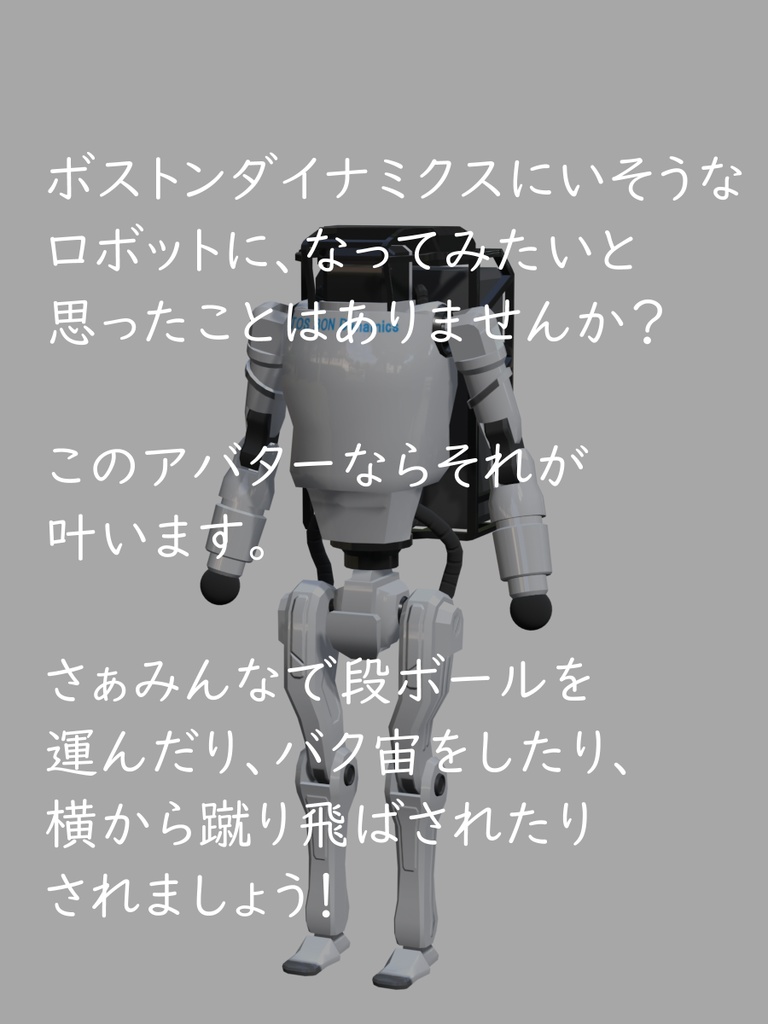 アバター向け3Dデータ「TOSBON」