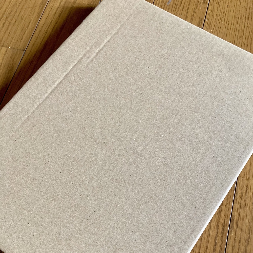 【原画】My Star/クリスマス/オイルパステル原画/手描きイラスト