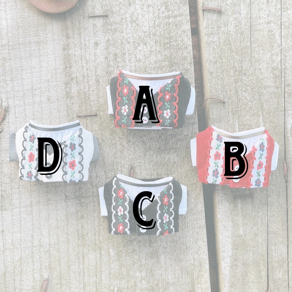 Tyrolean vest and shirt