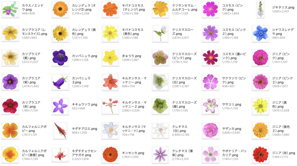 【透過PNG】お花の写真素材+α【全447点】