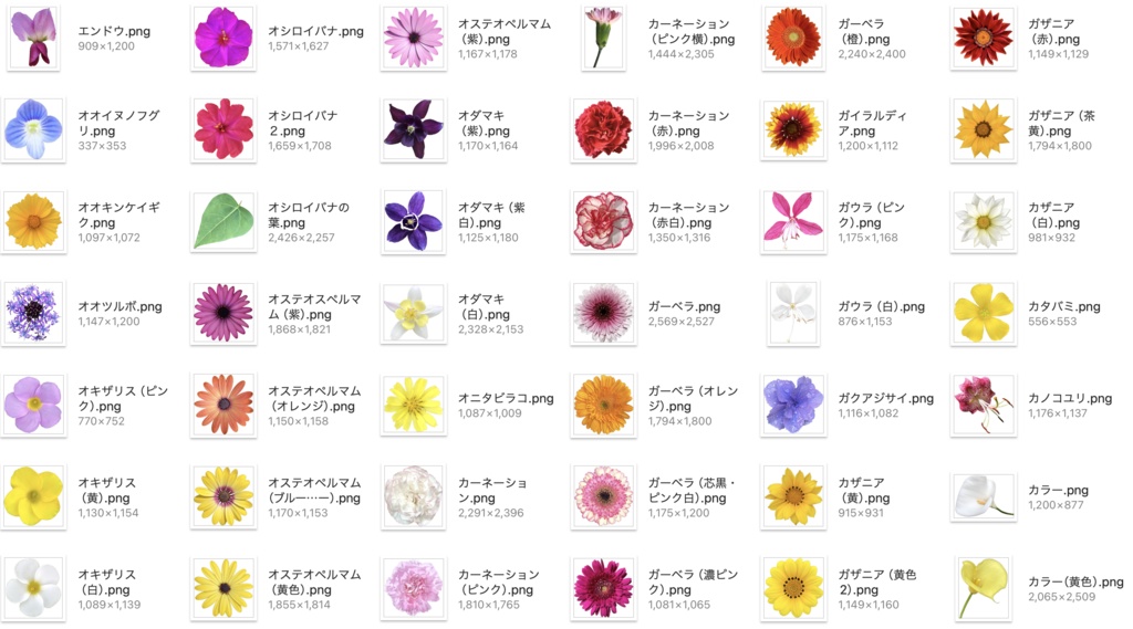 【透過PNG】お花の写真素材+α【全447点】
