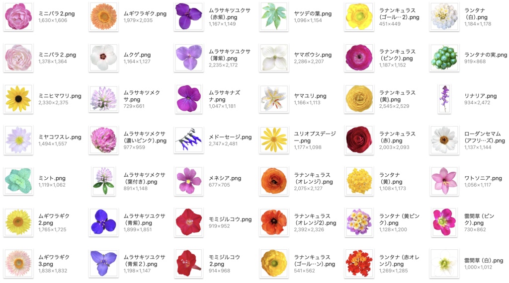 【透過PNG】お花の写真素材+α【全447点】