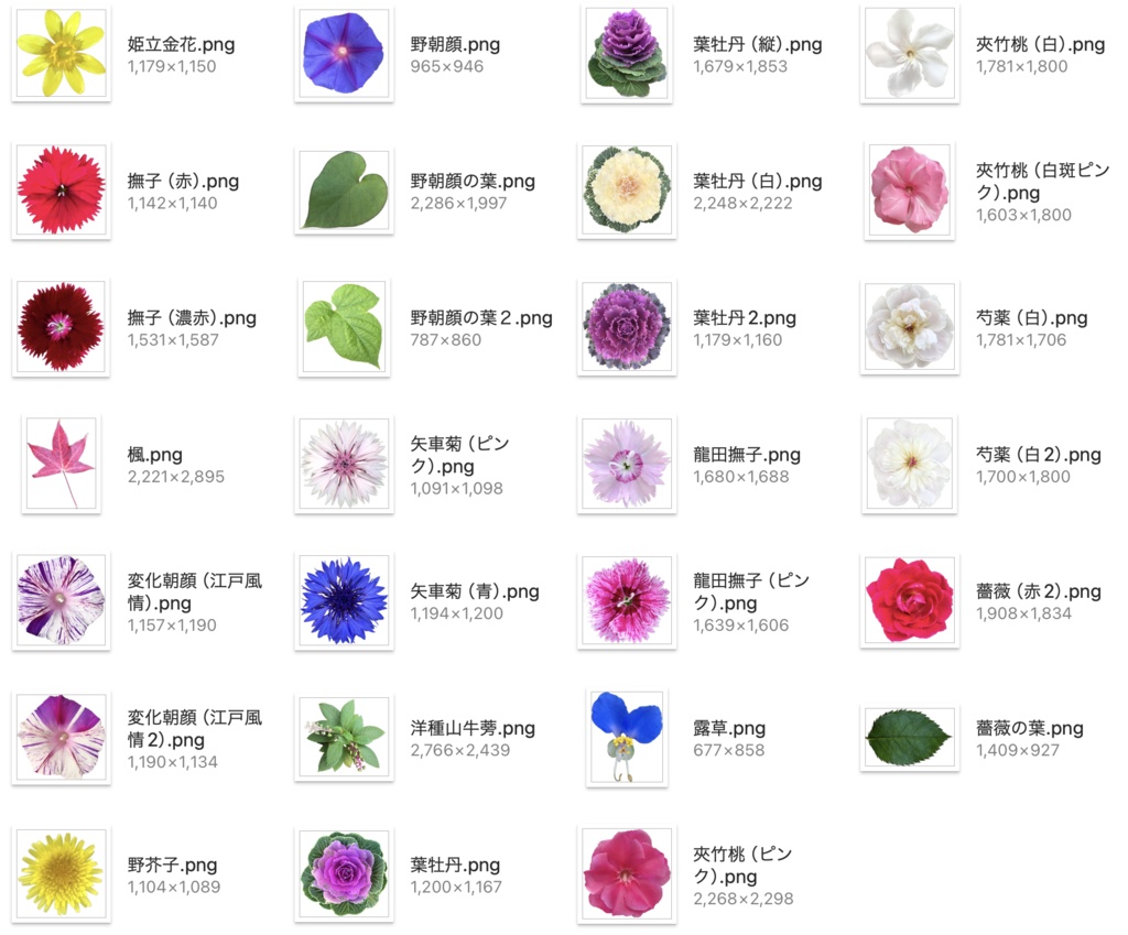 【透過PNG】お花の写真素材+α【全447点】