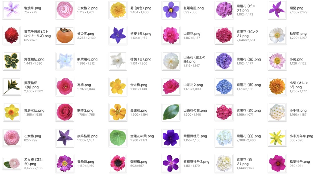 【透過PNG】お花の写真素材+α【全447点】