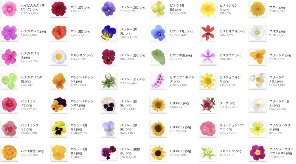 【透過PNG】お花の写真素材+α【全447点】
