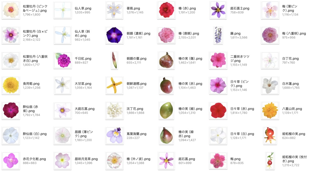 【透過PNG】お花の写真素材+α【全447点】