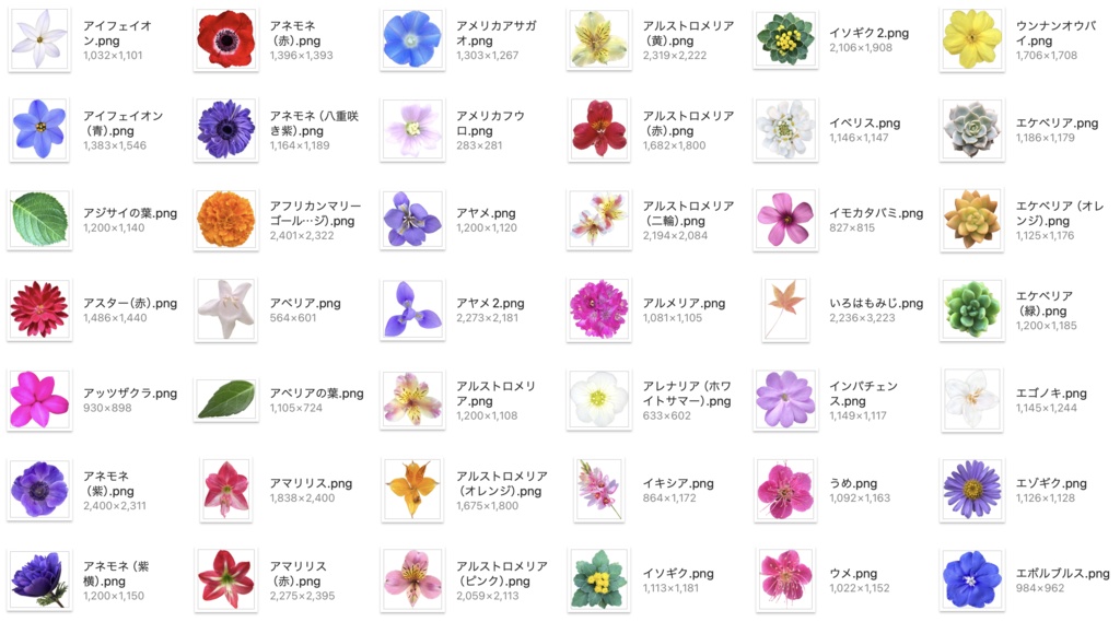 【透過PNG】お花の写真素材+α【全447点】