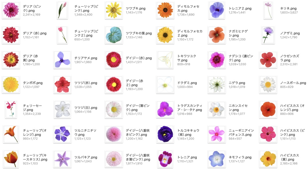 【透過PNG】お花の写真素材+α【全447点】