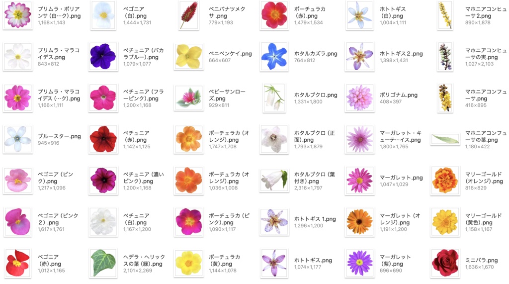 【透過PNG】お花の写真素材+α【全447点】