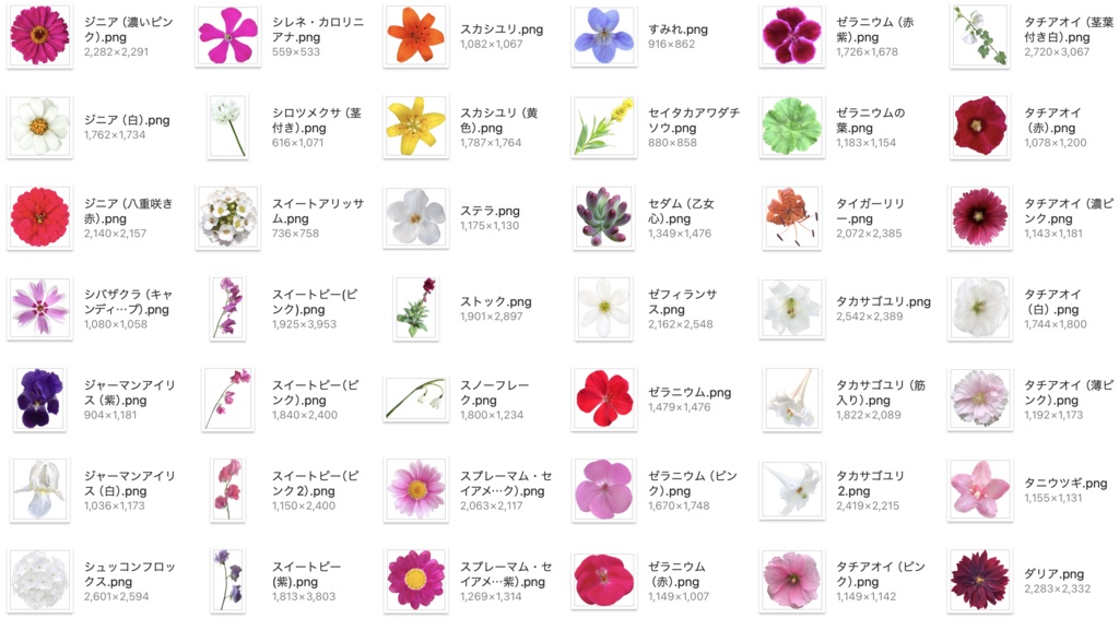 【透過PNG】お花の写真素材+α【全447点】