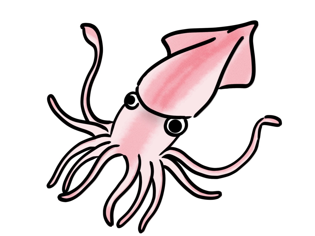 海洋生物マスキングテープ【タコイカ篇】