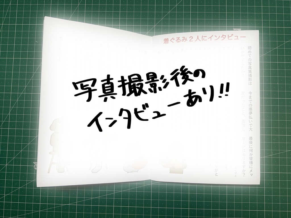 タフタフ&キャリー 1st写真集「着ぐるみ2人組」