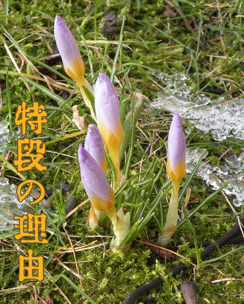 特段の理由