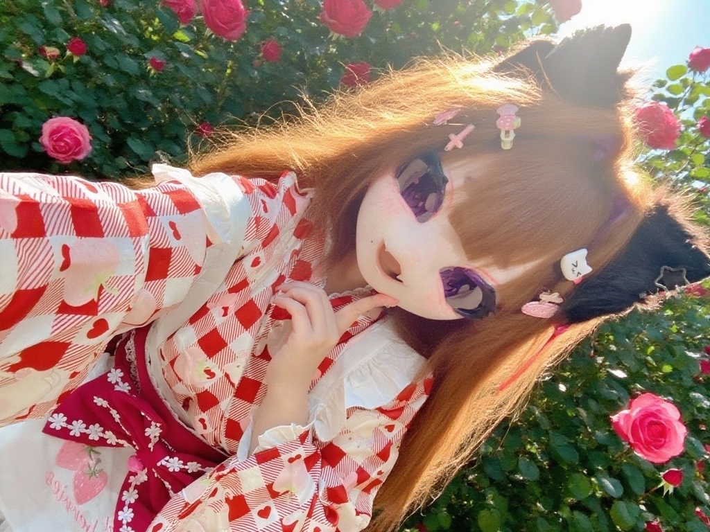 2.5次元ブロマイド