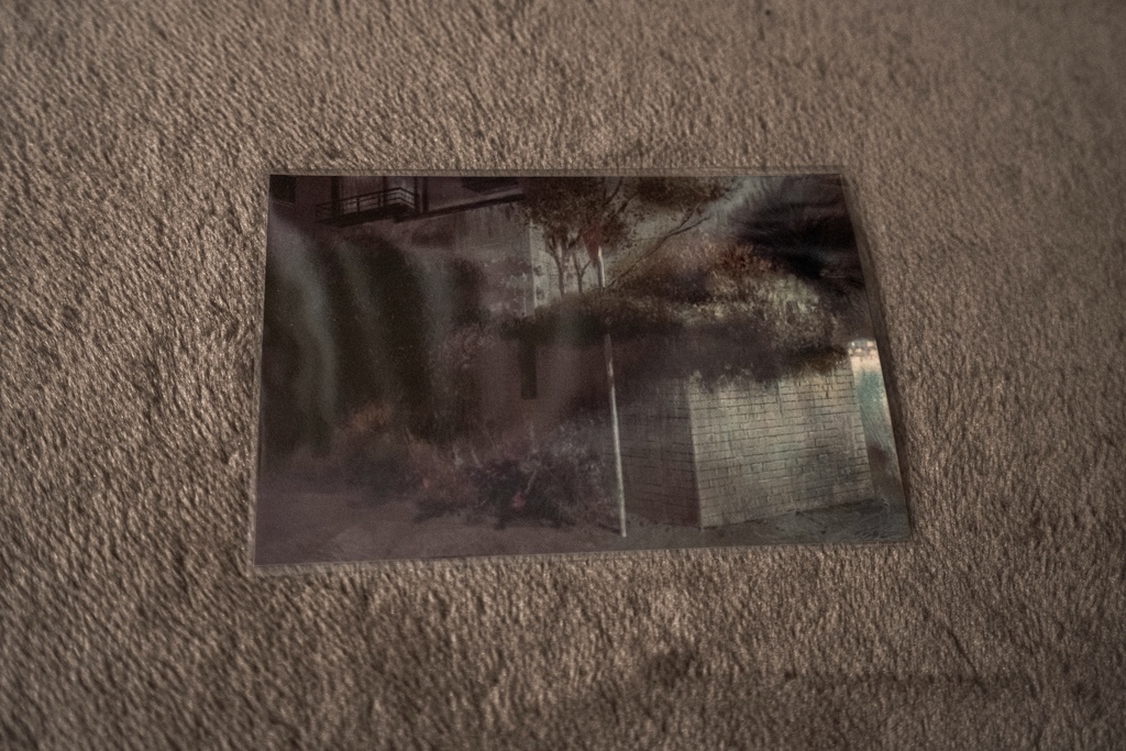 ポストカード 絵