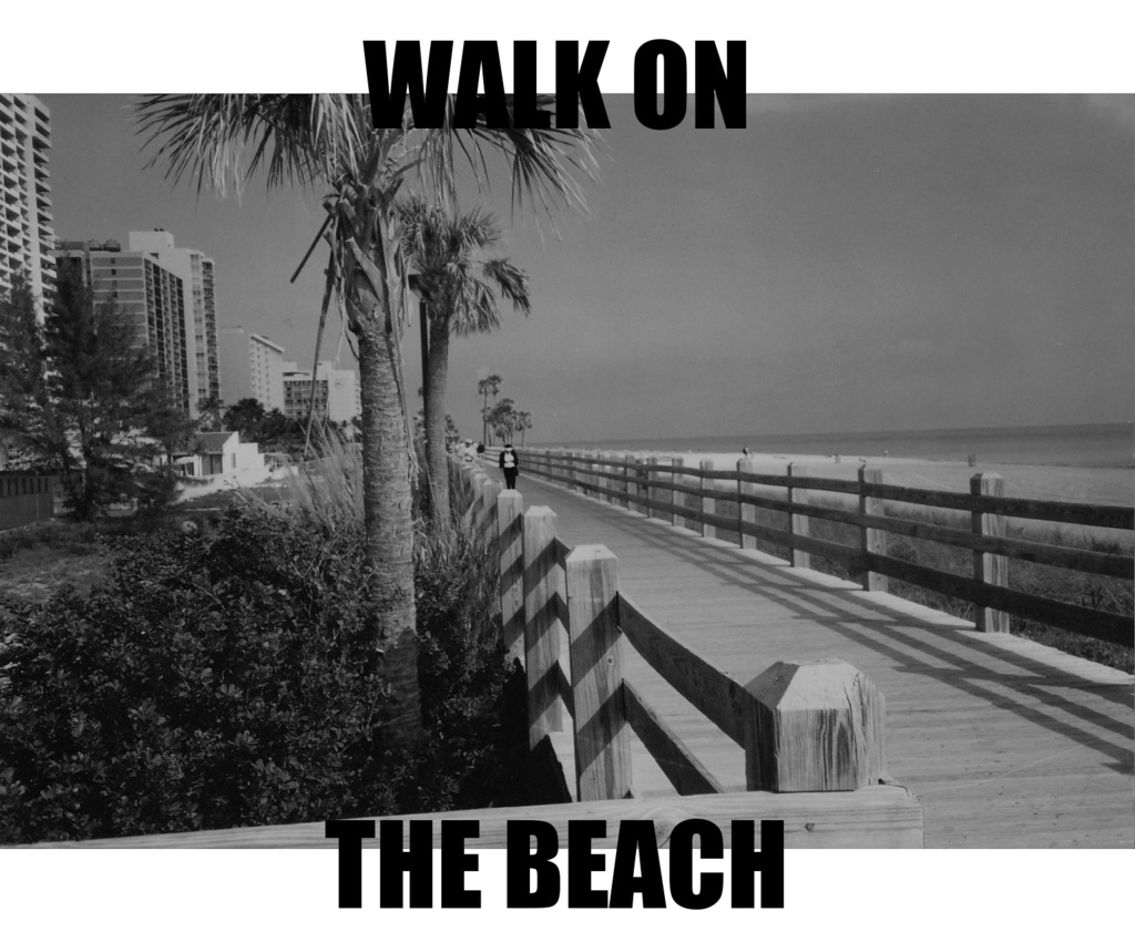 MIAMI BEACH パーカー