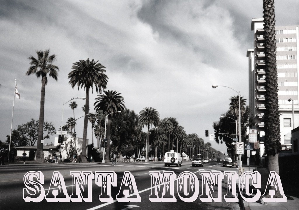 サンタモニカ パーカー