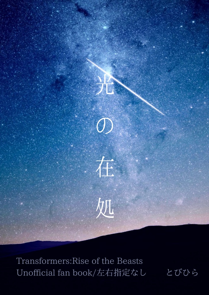 【左右指定なし】光の在処