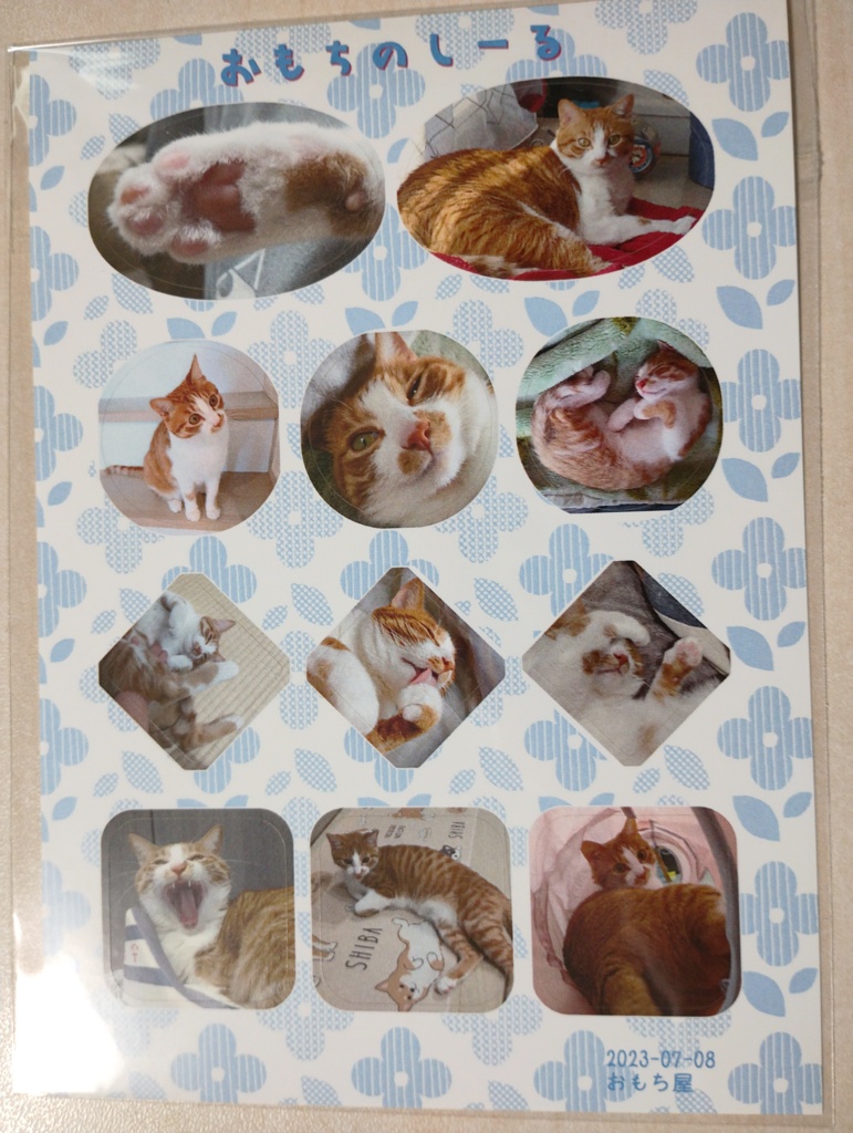 おもちのしーる