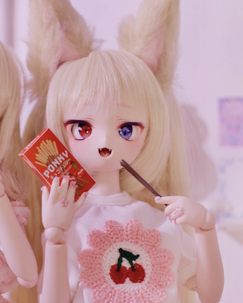 ポンキー MDD/DD