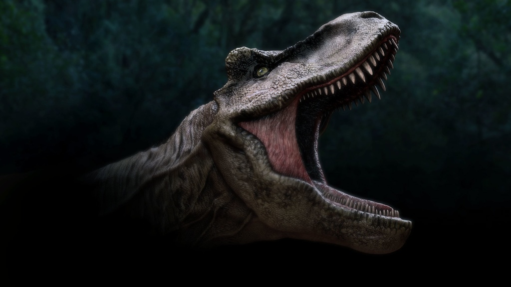 3Dモデル Trex_head