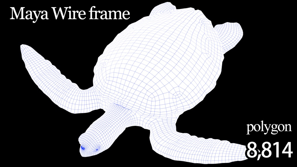 3Dモデル ウミガメ