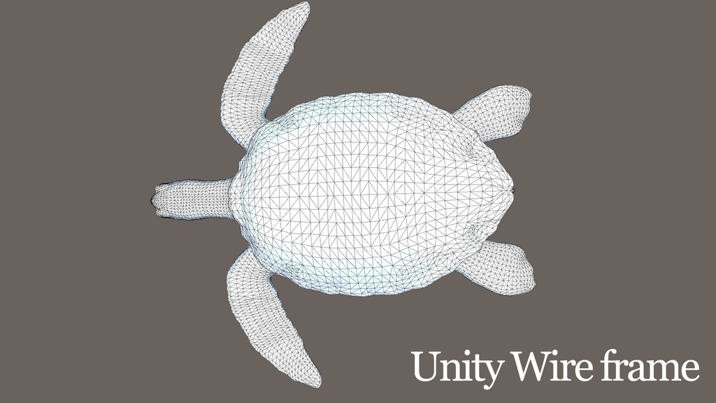 3Dモデル ウミガメ