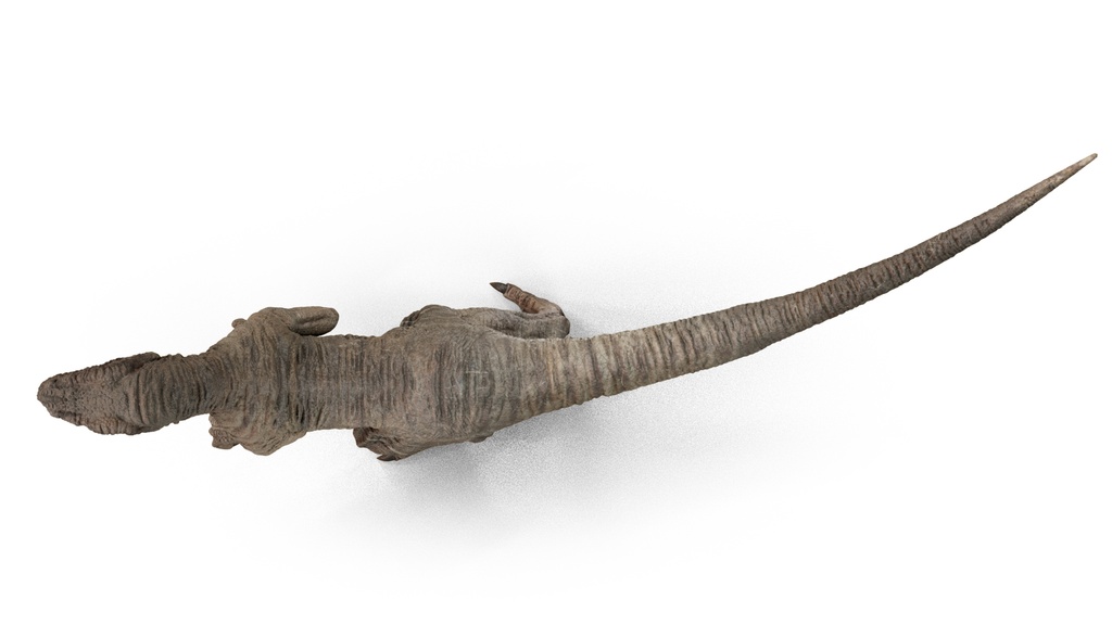 3Dモデル ヴェロキラプトル