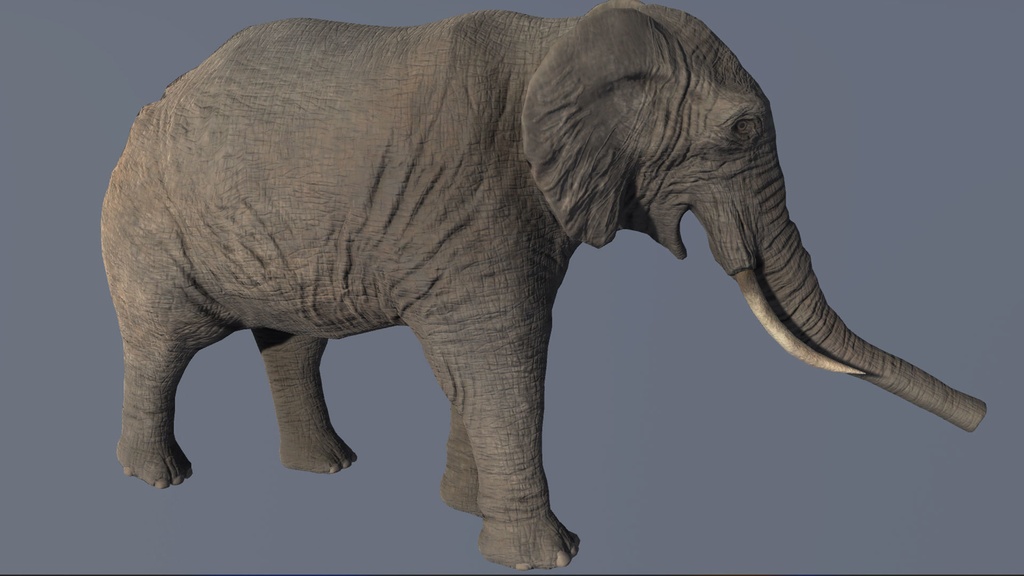 3Dモデル アフリカ象