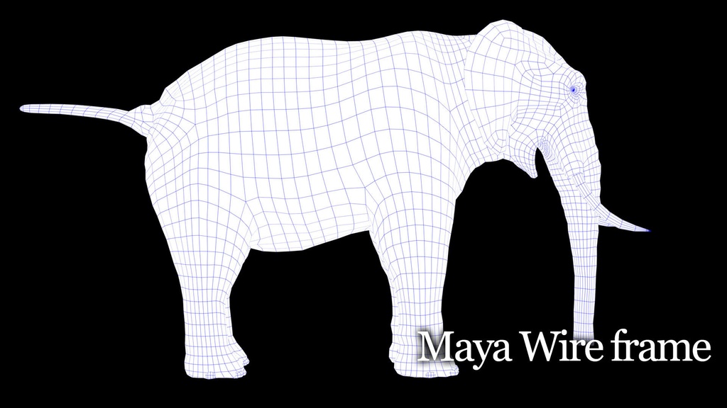3Dモデル アフリカ象