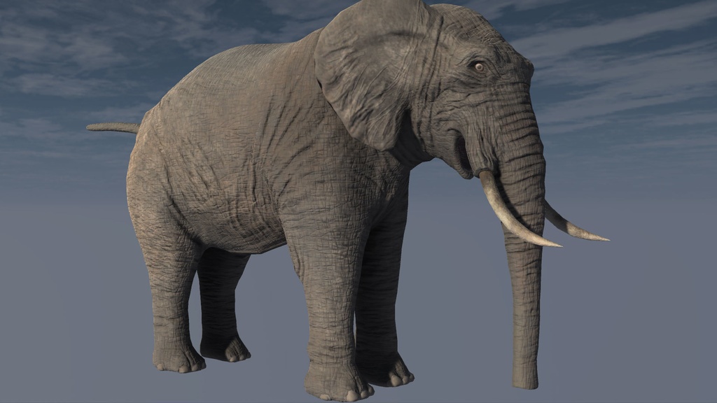 3Dモデル アフリカ象