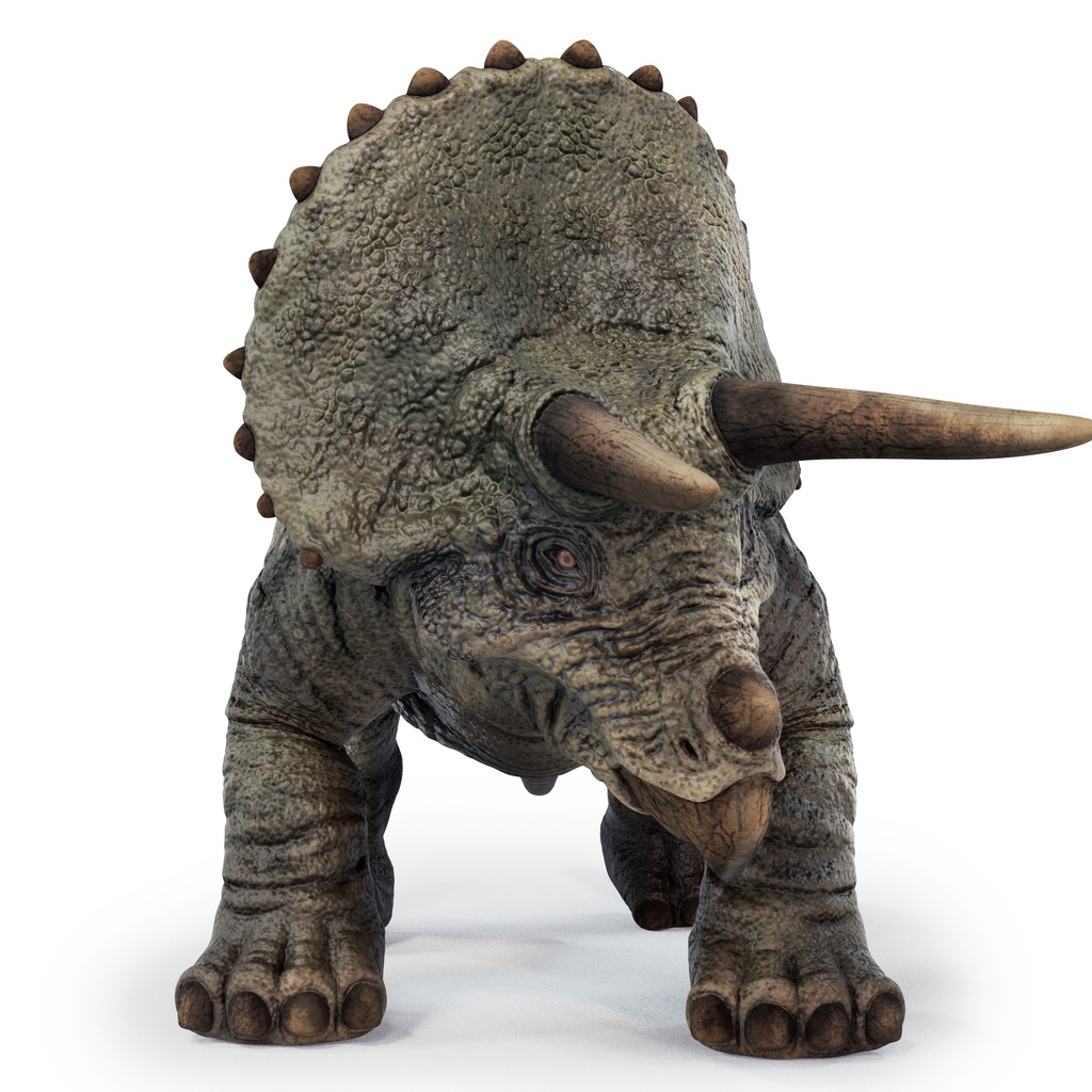 3Dモデル トリケラトプス