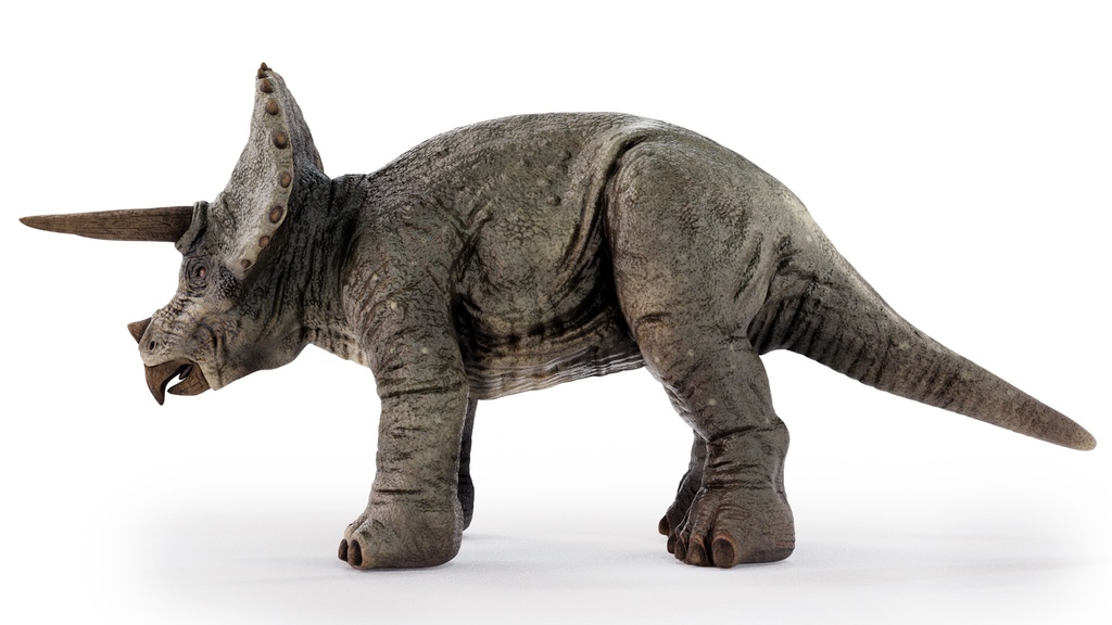 3Dモデル トリケラトプス