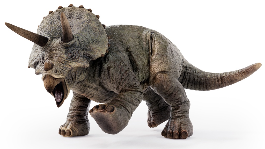 3Dモデル トリケラトプス