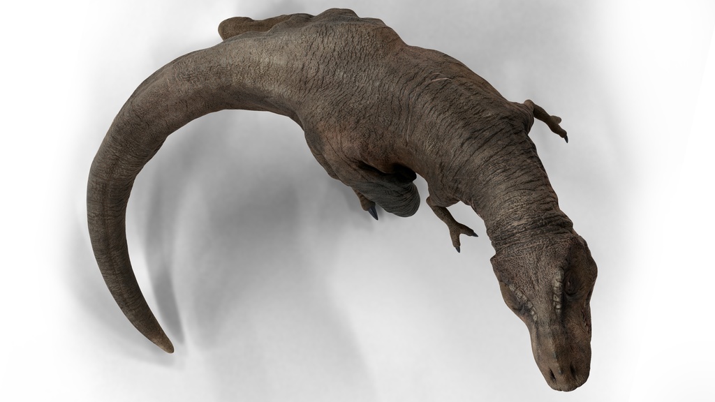 3Dモデル ティラノサウルス